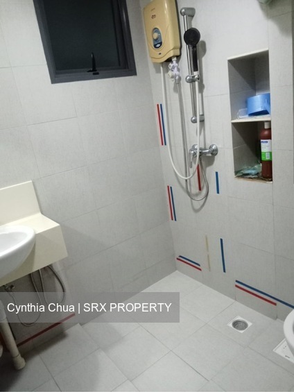 Blk 1 The Pinnacle@Duxton (Bukit Merah), HDB 4 Rooms #559339081
